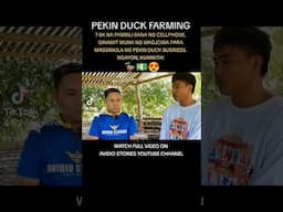 AMAZING PEKIN DUCK FARMING | 7-8K NA PAMBILI SANA NG CP, GINAMIT MUNA PARA MAG NEGOSYO NG PEKIN DUCK