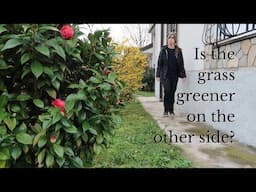 Is the grass really greener on the other side? | Story 5