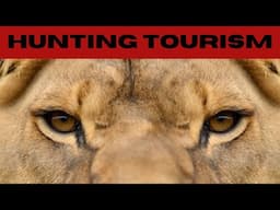 The Types Of Hunting- The Hunting Tourism Industry