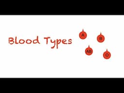 Blood Types Explained: Easy and Simple