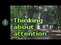 Thinking About Attention -- Walk with Me