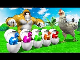 Funny Gorilla On Red Tractor - Learn Colors With Chicken Eggs | Farm Animals Feeding For Kids