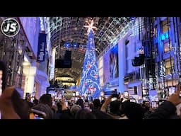 The Underground PATH & Eaton Centre Christmas Tree Unveiling (Nov 2024)