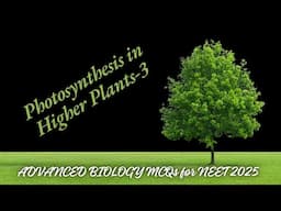 ADVANCED BIOLOGY MCQs for NEET 2025 | Photosynthesis in Higher Plants | by Shiksha House