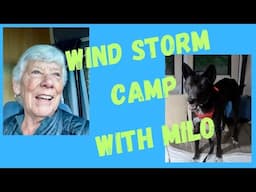 Wind Storm Camp with Milo-Bob too!