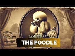 Poodle - Full History