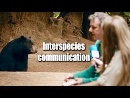 Interspecies Communication & Bears