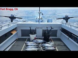 Albacore Tuna Trolling (Most Fun Fishing You Can Have)