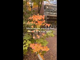 First Signs of Fall at The Wharton School