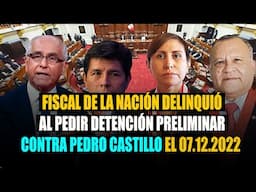 Fiscal de la Nación delinquió al pedir detención preliminar judicial contra Castillo