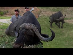 Two Buffalo Two Smiths (featuring the Smith brothers) with Dalton & York Safaris and Vaughan Vosloo