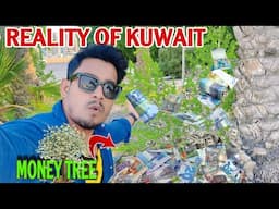 Reality Of Kuwait Aate Hi Money Tree🌳 Laga Lete H