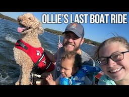 Celebrating Ollie’s Life | Ollie Passed Away