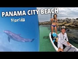 Swim with DOLPHINS! 🐬 St. Andrews State Park | Panama City Beach, Florida