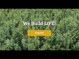 Support Living Web Farms