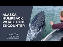 Alaska Whale Close Encounter -- a humpback whale calf circles our boat for 8 minutes.