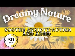 Dreamy Nature & Soothing Music for Calming Anxiety, ADHD, Autism | 30 minutes